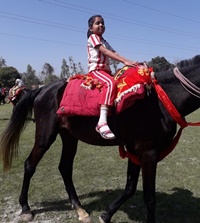 Horse riding