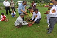 Chief guest planting the tree