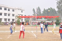 Volley ball